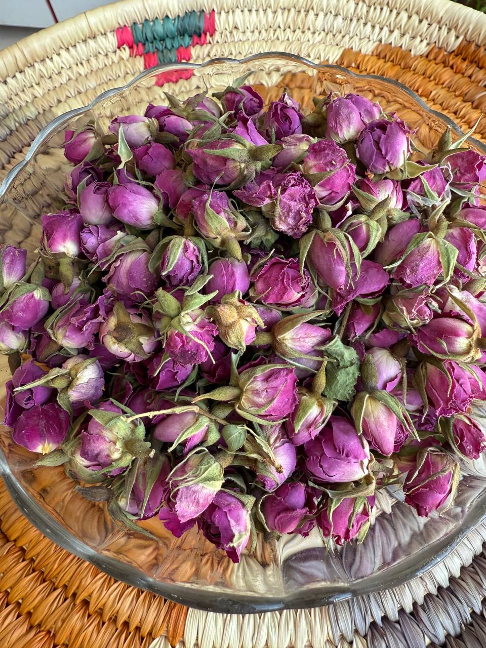 غنچه گل سرخ لاله زار
