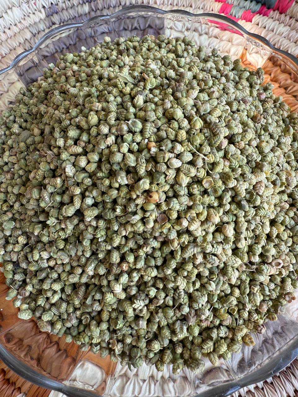 اورگانو